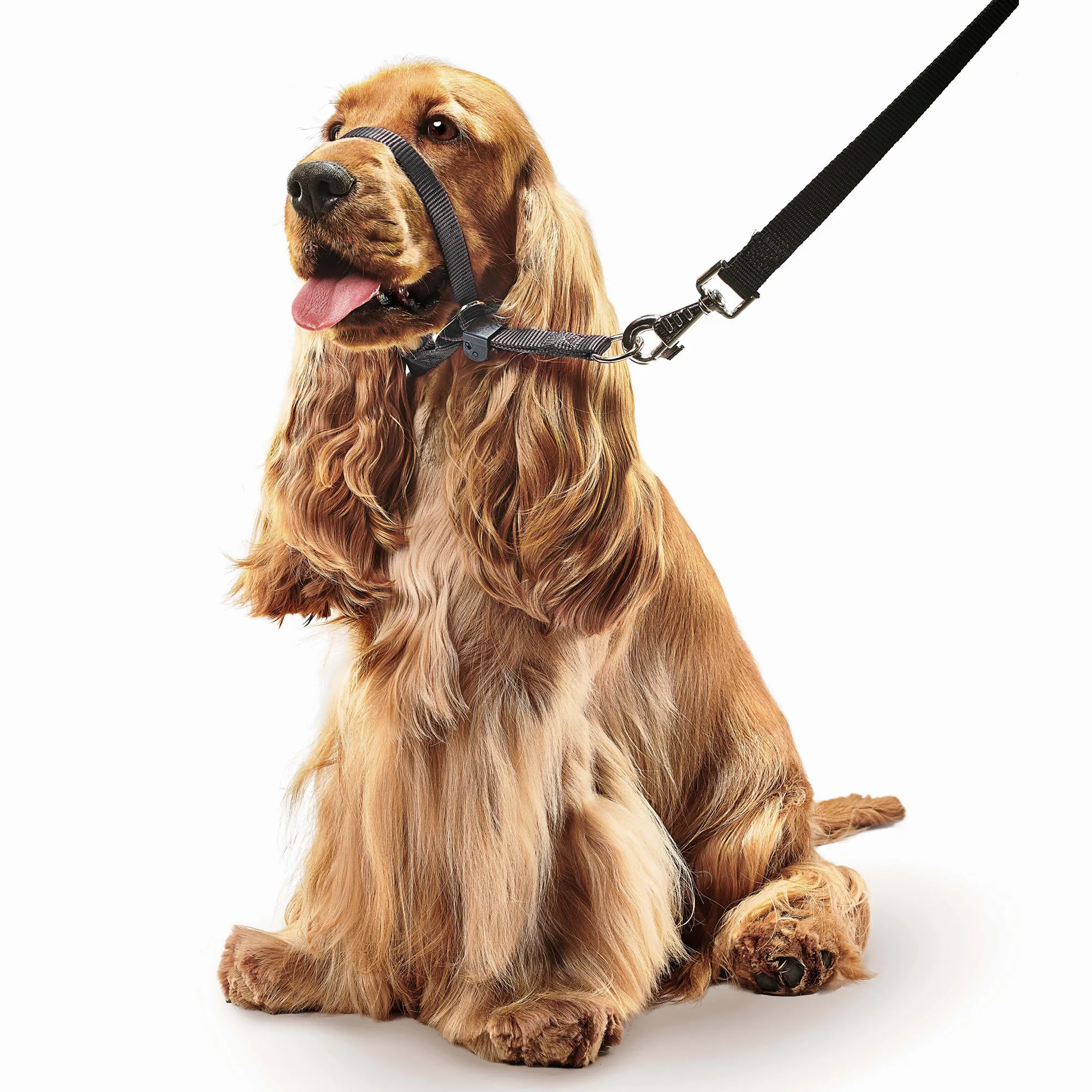 Beaphar Gentle Leader® Head Collar To Stop Pulling