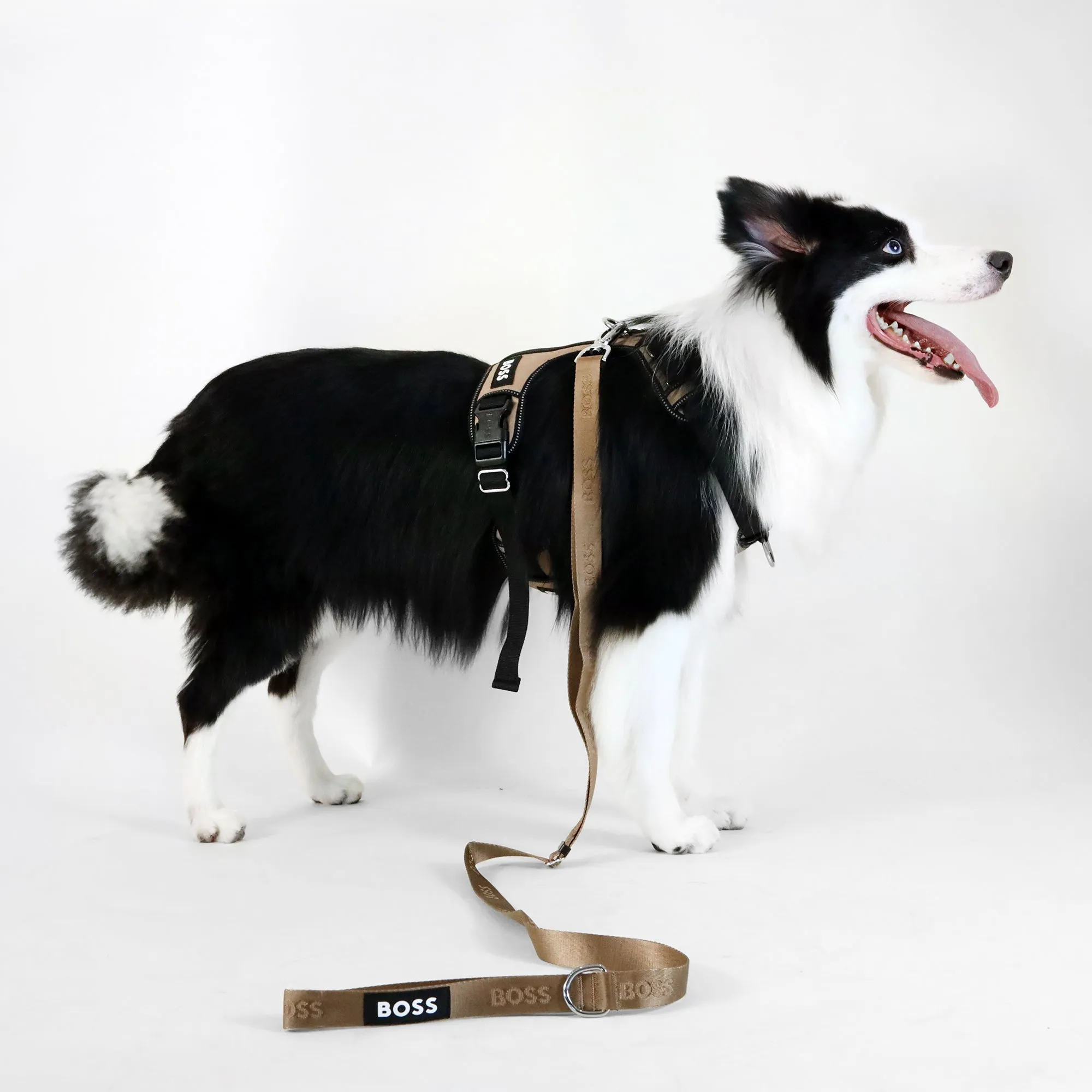 BOSS Dog Essentials Leash