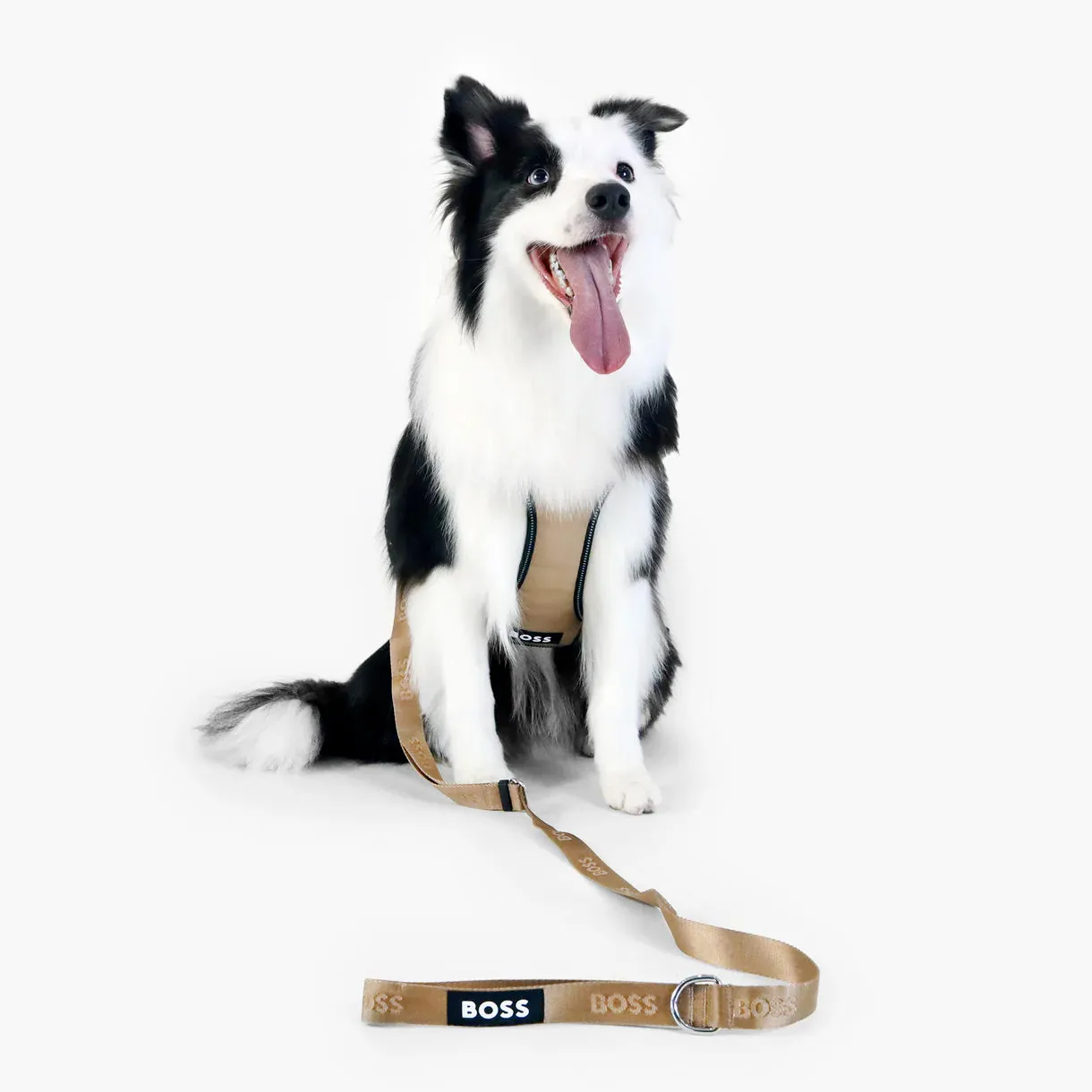 BOSS Dog Essentials Leash