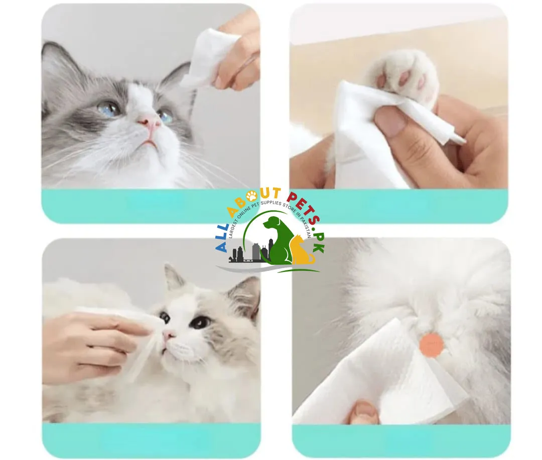 Cat Dog Cleaning Wipes (100 Pieces) - Convenient and Effective Pet Cleaning Solution