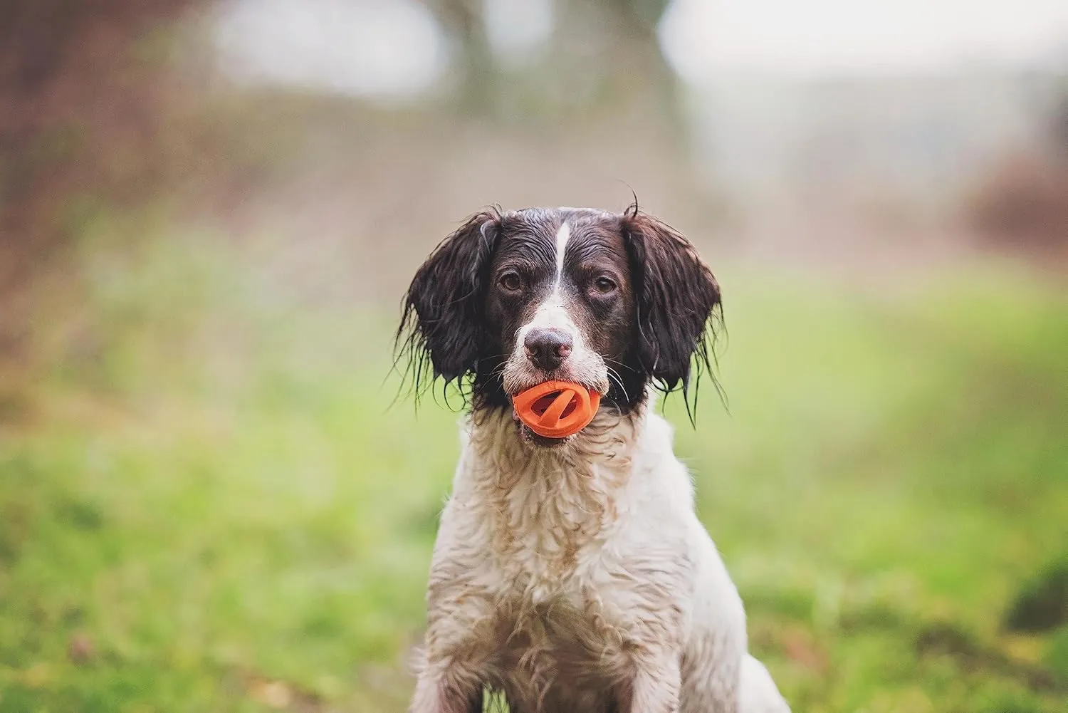Chuckit! Air Fetch Balls - 2 pack