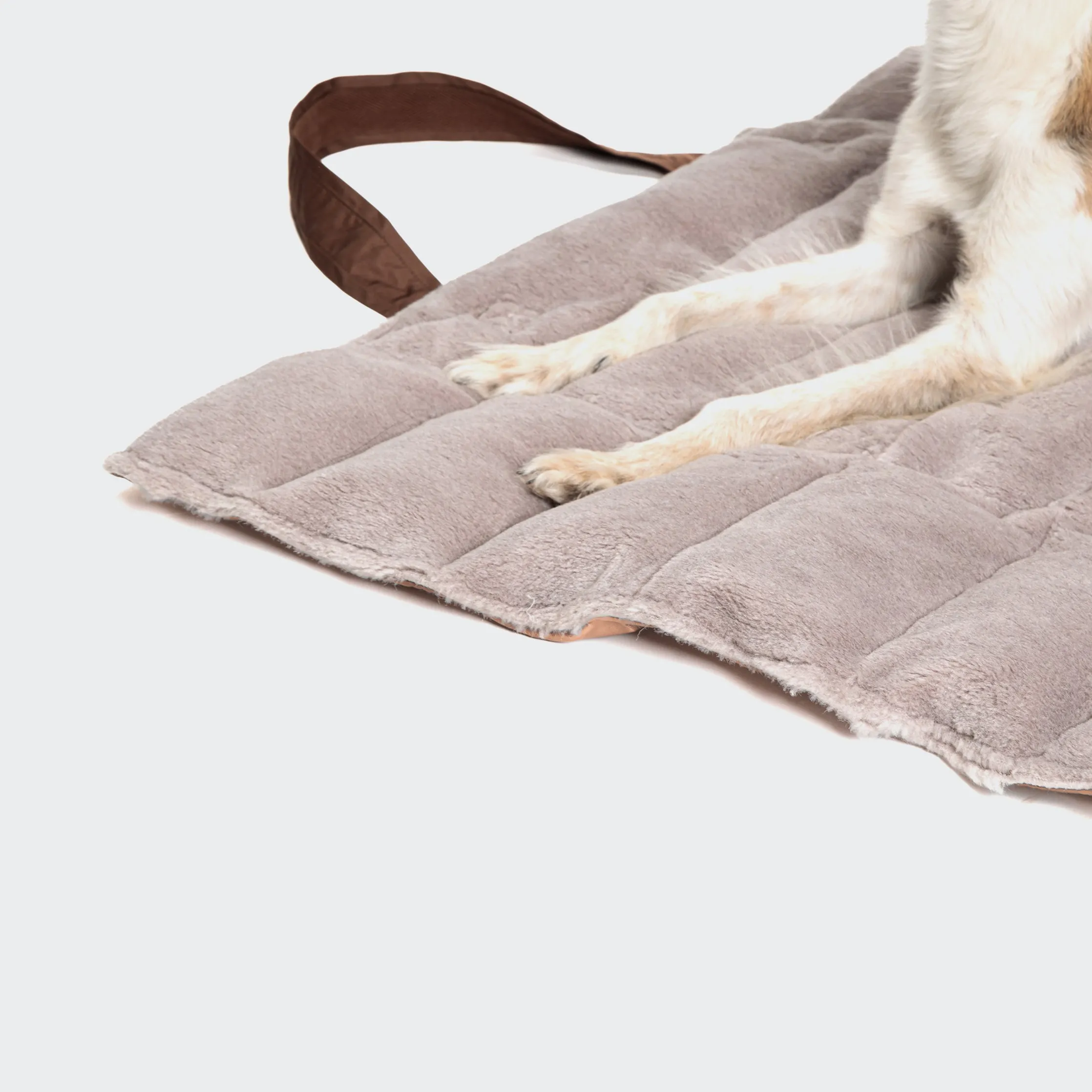 Cloud7: Dog Travel Bed, Denver Mocca