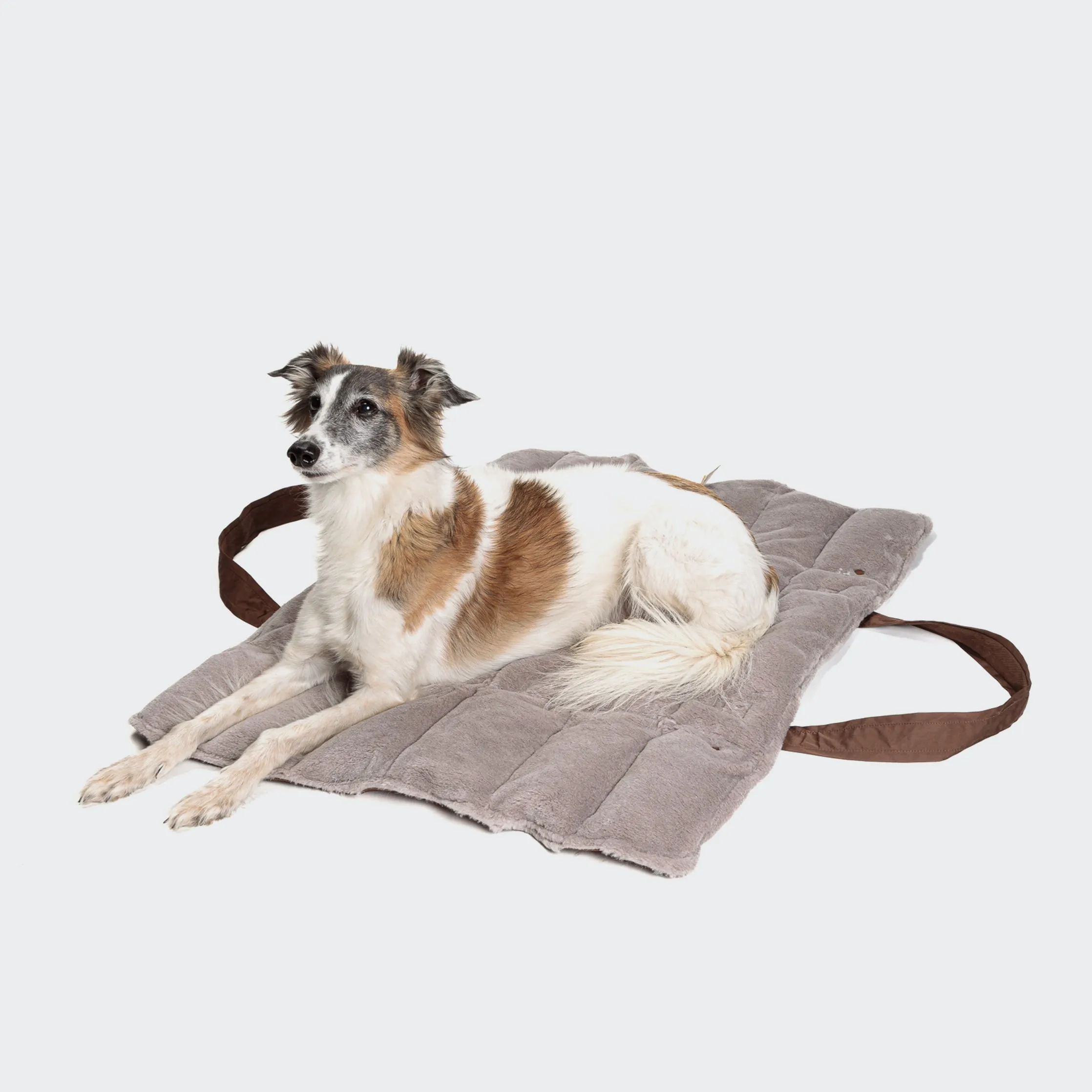 Cloud7: Dog Travel Bed, Denver Mocca