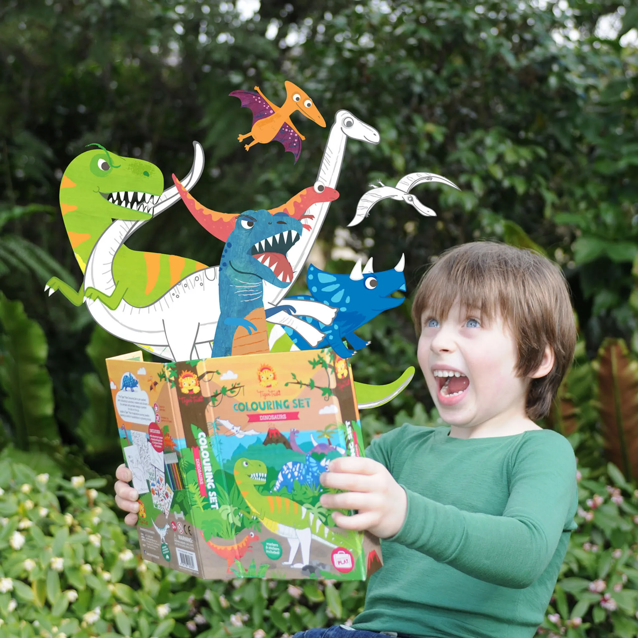 Colouring Set - Dinosaur