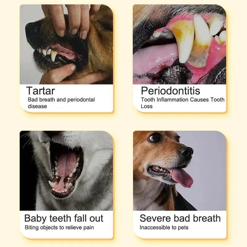 Dental Delight Pet Molar Tooth Stick