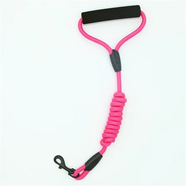 dog leash running walk train for large small cat pets Leashes dogs leash rope nylon Tenacity 7 colors 3 sizes