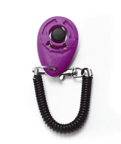 Dog Training Clicker