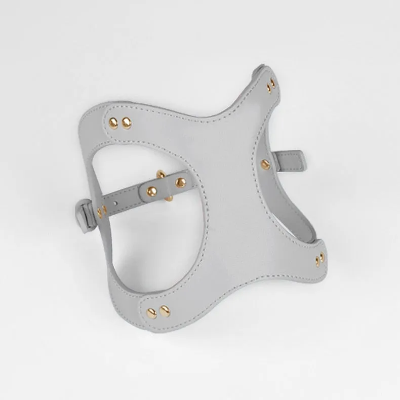 Eco-Friendly Dog Leather Harness and Leash Set
