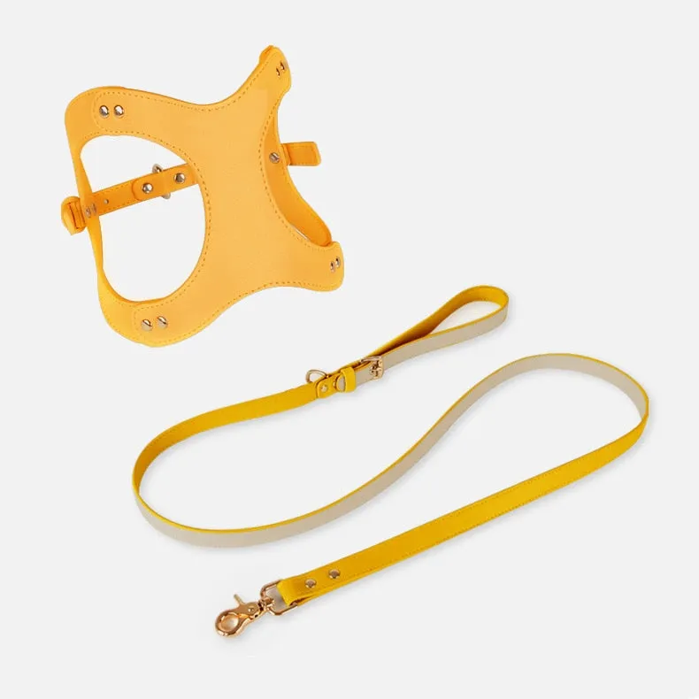Eco-Friendly Dog Leather Harness and Leash Set