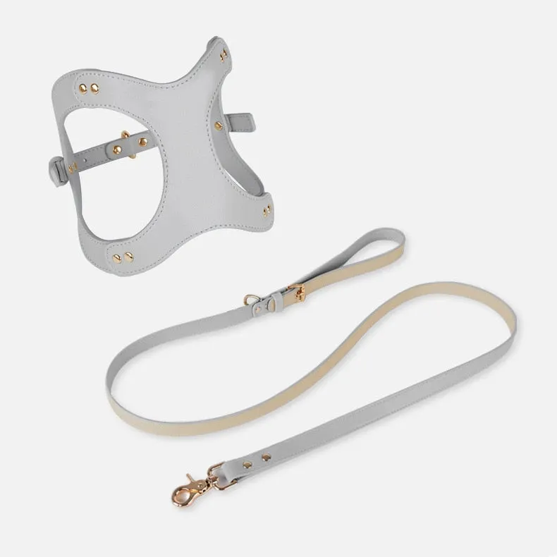 Eco-Friendly Dog Leather Harness and Leash Set