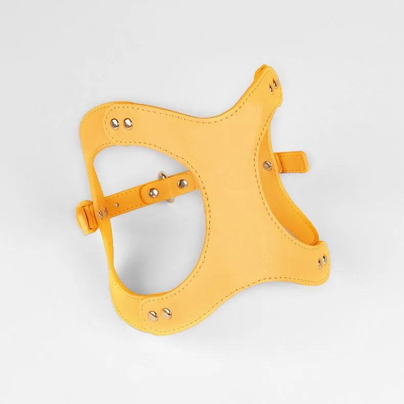 Eco-Friendly Dog Leather Harness and Leash Set