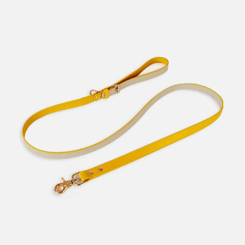 Eco-Friendly Dog Leather Harness and Leash Set