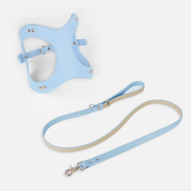 Eco-Friendly Dog Leather Harness and Leash Set