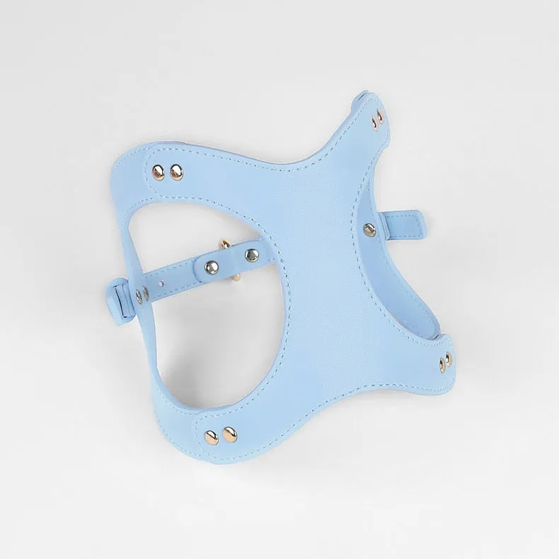 Eco-Friendly Dog Leather Harness and Leash Set
