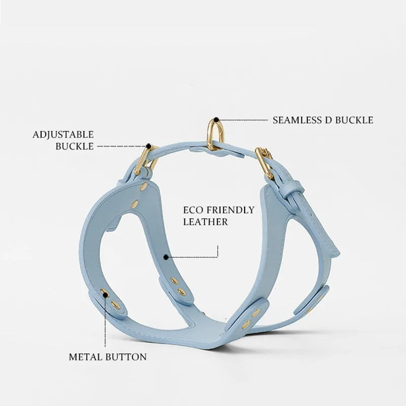 Eco-Friendly Dog Leather Harness and Leash Set