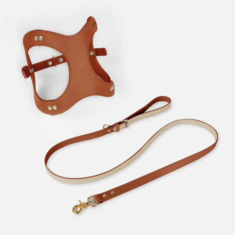 Eco-Friendly Dog Leather Harness and Leash Set