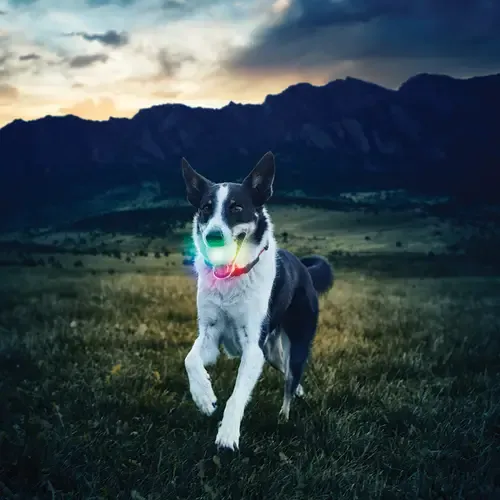 GlowStreak LED Ball