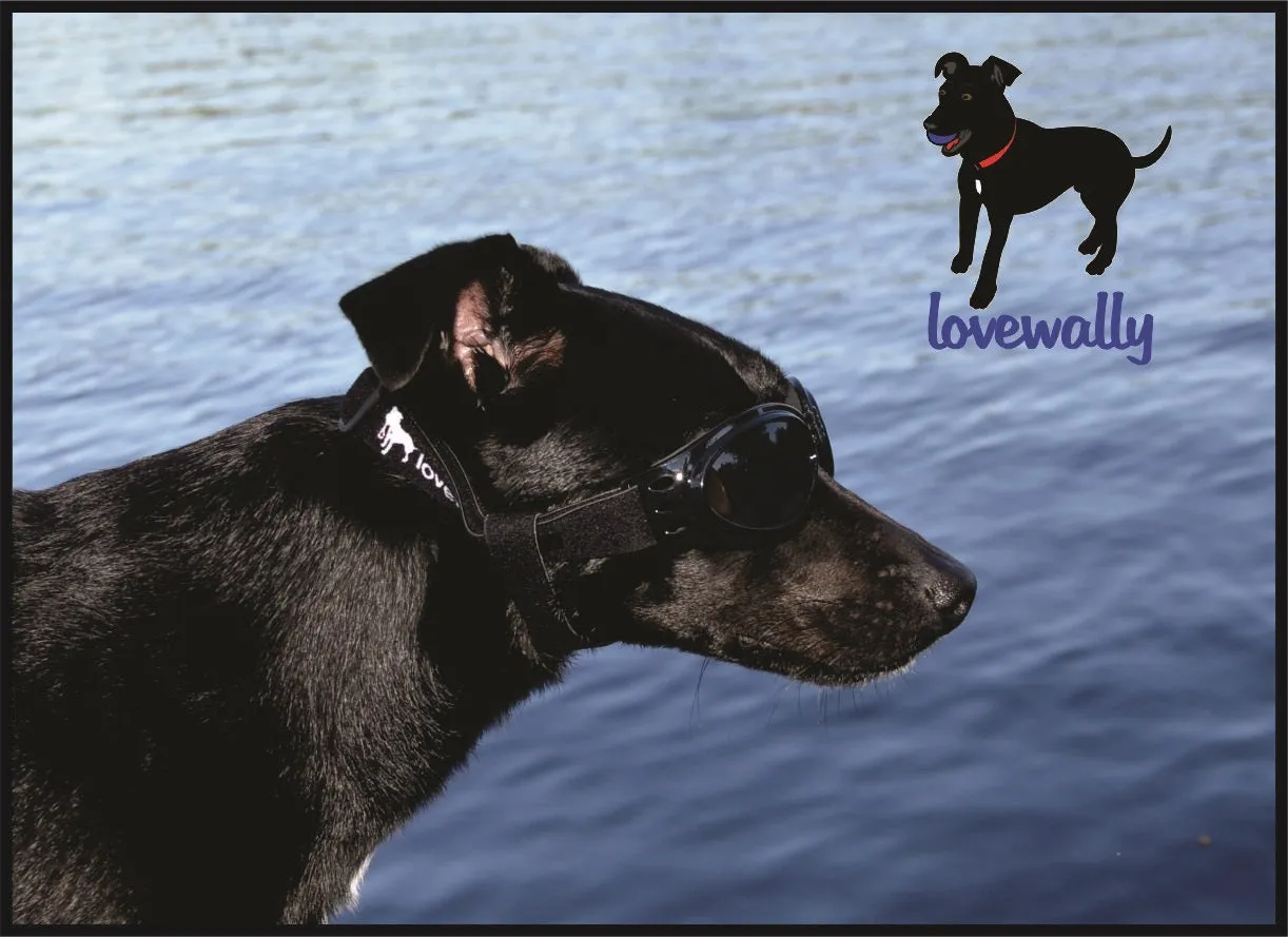 LoveWally Dog Goggles Sunglasses Outdoor Adventure Gear