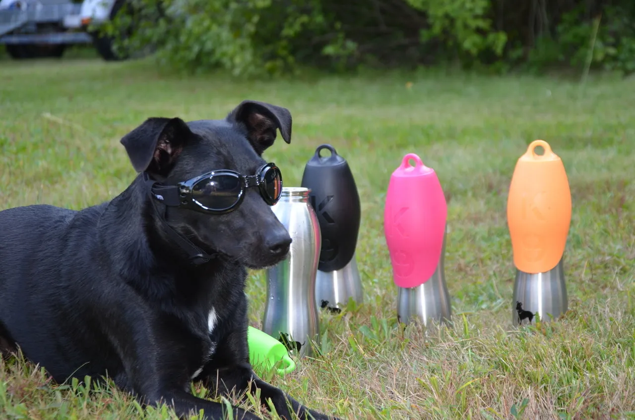 LoveWally Dog Goggles Sunglasses Outdoor Adventure Gear