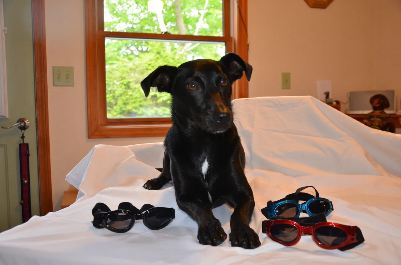 LoveWally Dog Goggles Sunglasses Outdoor Adventure Gear