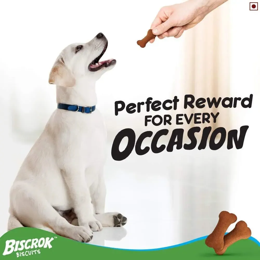 Pedigree Biscrok Biscuits Dog Treats (Above 4 Months), Chicken Flavor, 500g (pack of 2)