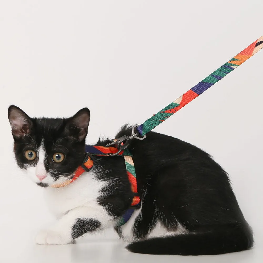 Pidan Harness & Leash Set For Cats (Abstract)