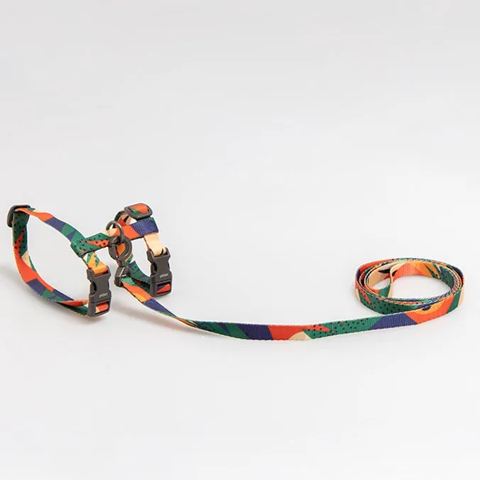 Pidan Harness & Leash Set For Cats (Abstract)