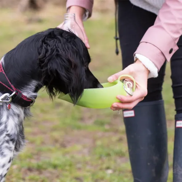 Rosewood Easy Use Dog Travel Water Bottle with Stylish Leaf Design, Green