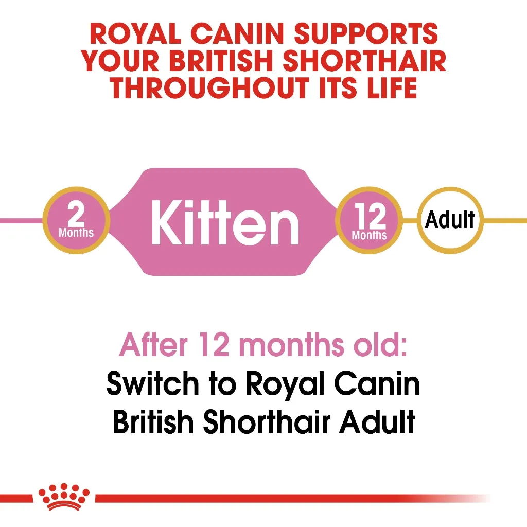 Royal Canin British Shorthair Kitten 2kg Dry Cat Food - Feline Breed Nutrition