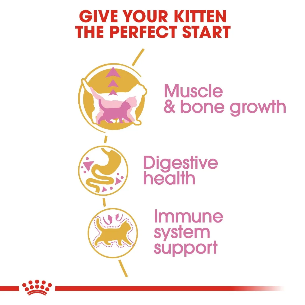 Royal Canin British Shorthair Kitten 2kg Dry Cat Food - Feline Breed Nutrition