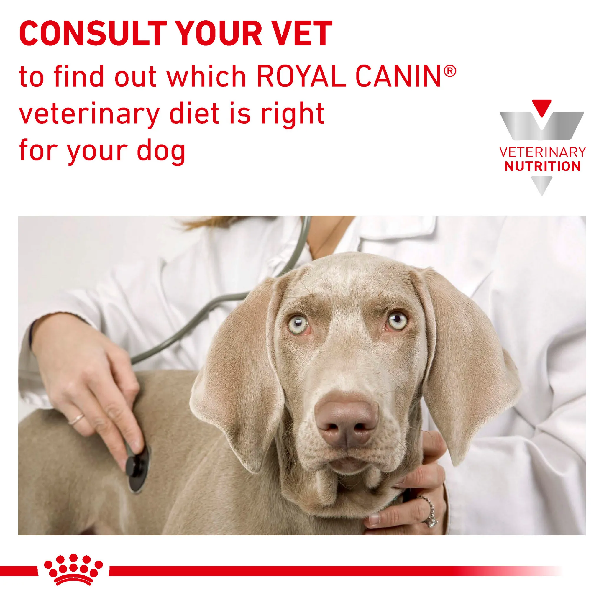 ROYAL CANIN® Canine Hypoallergenic Moderate Calorie Adult Dry Dog Food