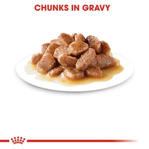 Royal Canin | Cat Wet Food Pouch | Urinary Care in Gravy - 85g