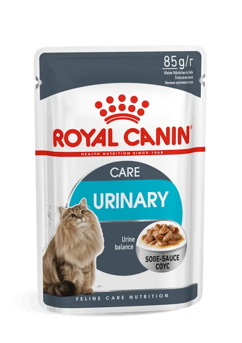 Royal Canin | Cat Wet Food Pouch | Urinary Care in Gravy - 85g