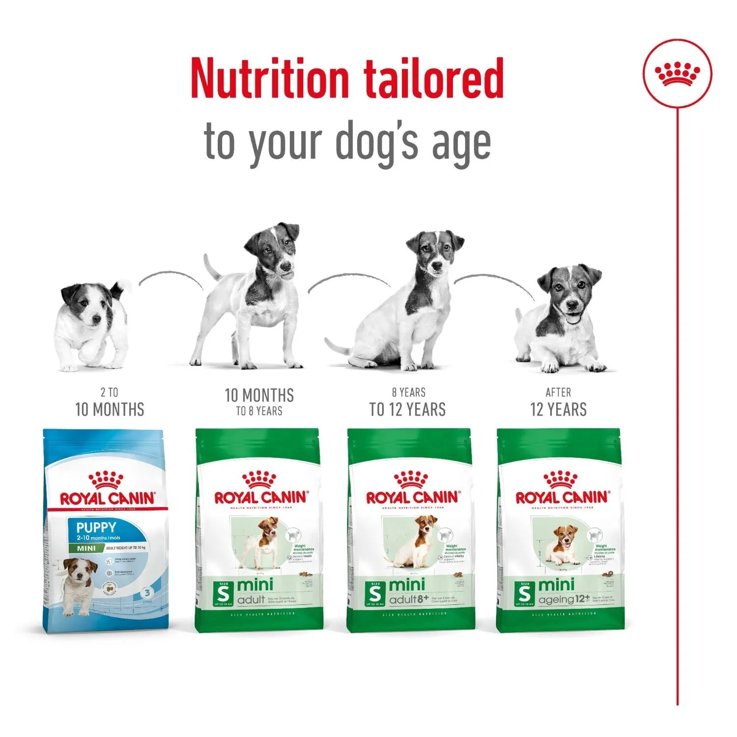 Royal Canin Dog Mini Ageing 12  Dry Food 1.5kg^^^