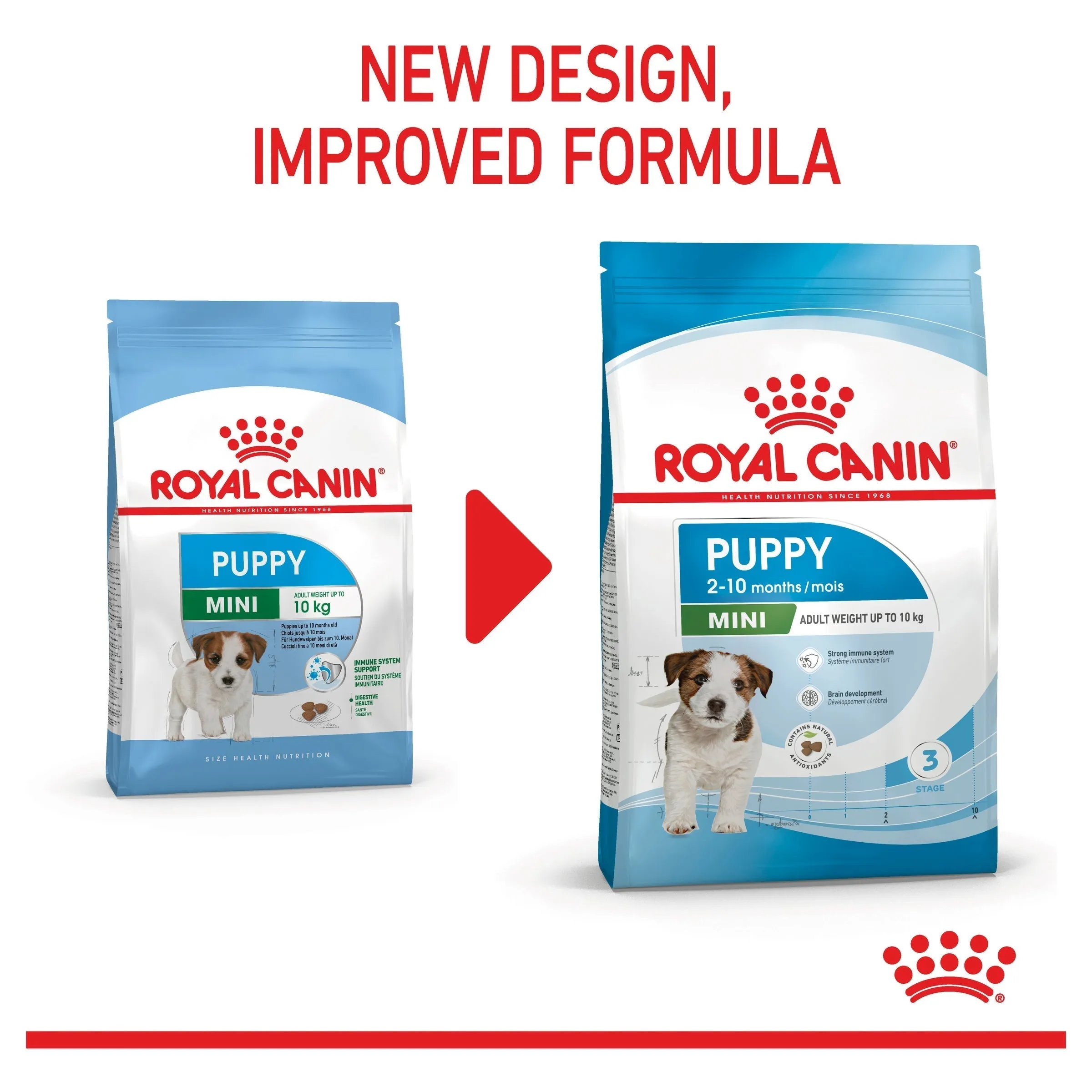 Royal Canin Dog Mini Puppy Dry Food 800g^^^