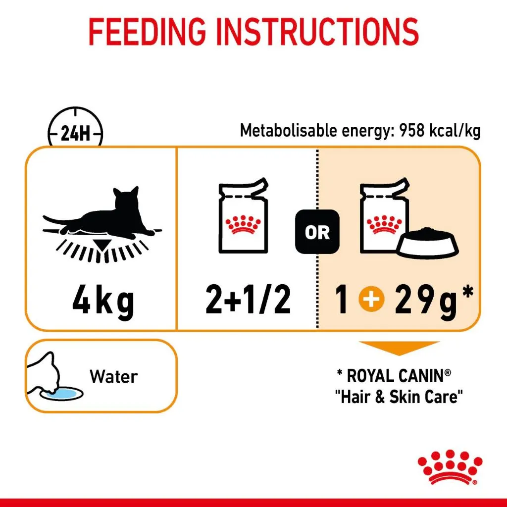 Royal Canin Hair and Skin/Intense Beauty (85g x 12 Pouches) Adult Wet Cat Food