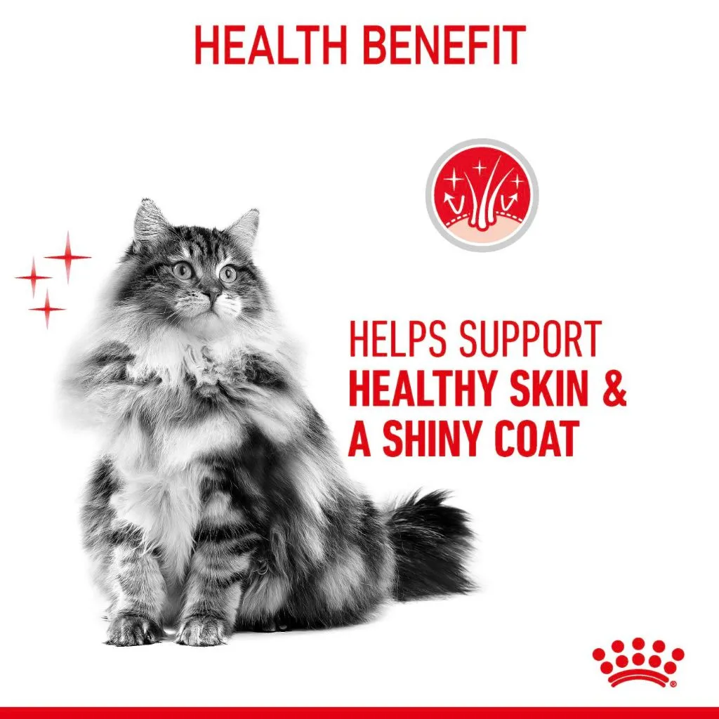 Royal Canin Hair and Skin/Intense Beauty (85g x 12 Pouches) Adult Wet Cat Food