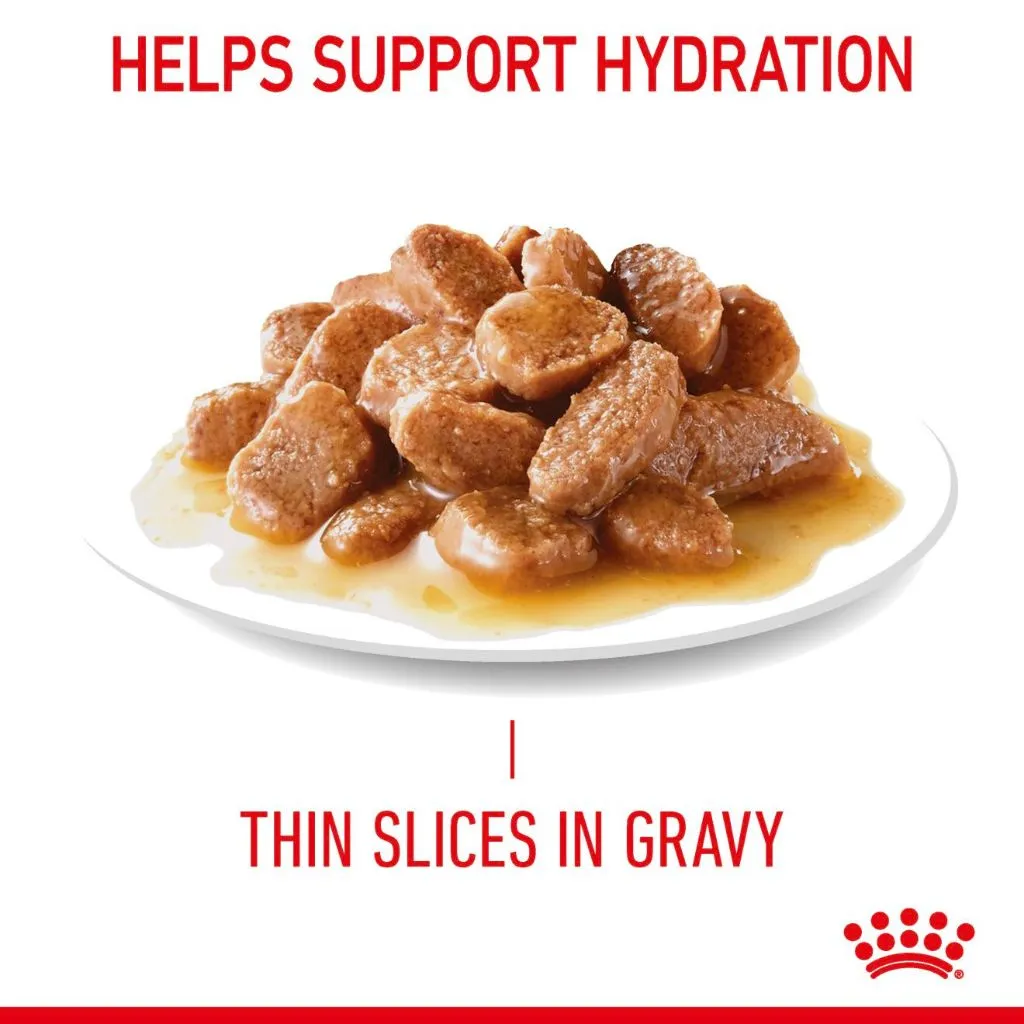 Royal Canin Hair and Skin/Intense Beauty Gravy 85g Pouch Adult Wet Cat Food - Feline Care Nutrition
