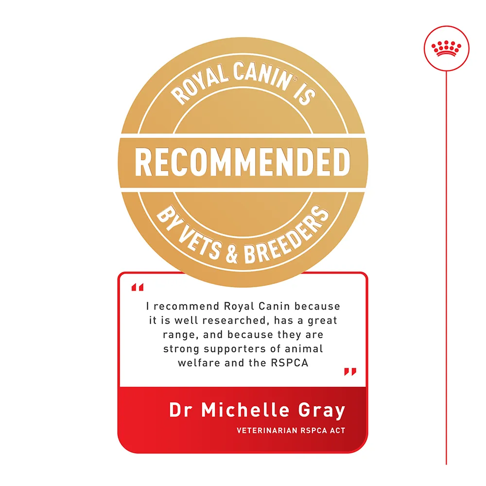 Royal Canin - Medium Adult Dog Dry Food (15kg)