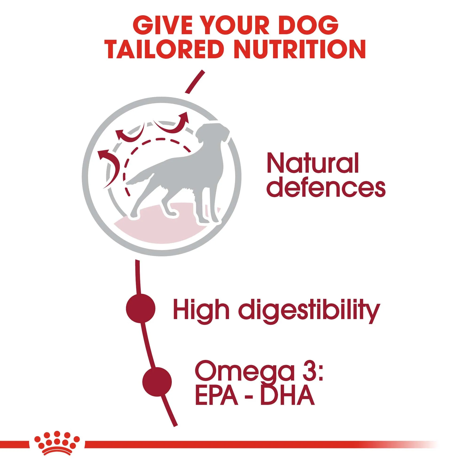 Royal Canin - Medium Adult Dog Dry Food (15kg)