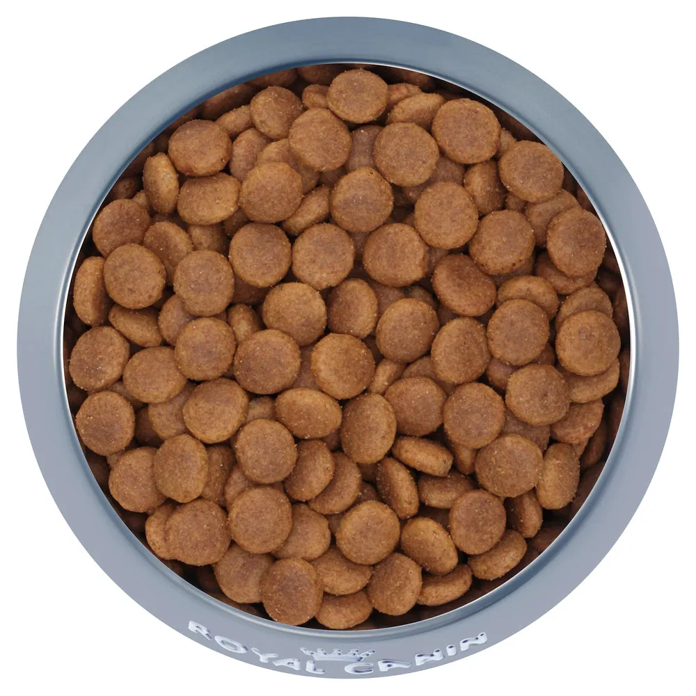 Royal Canin - Medium Adult Dog Dry Food (15kg)