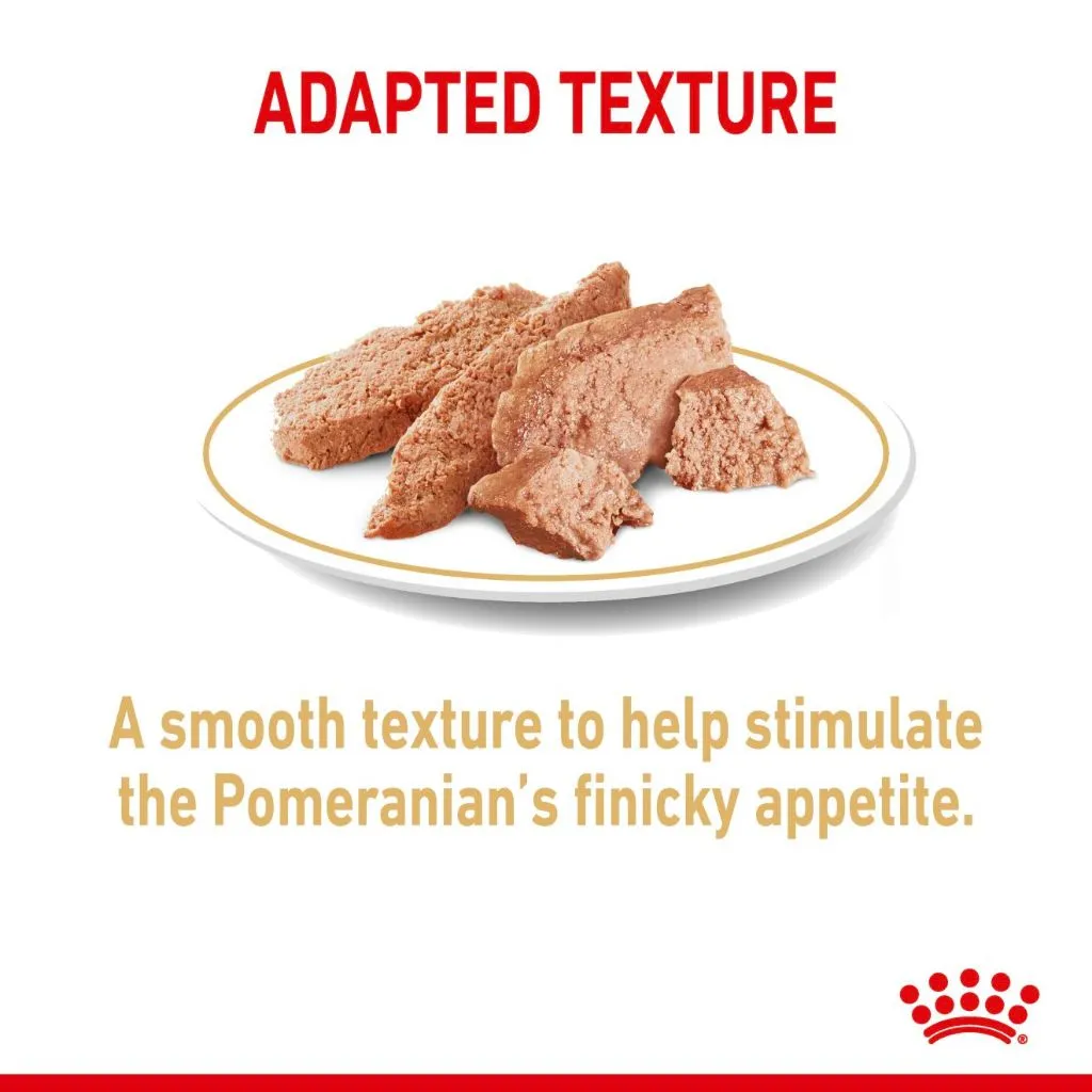 Royal Canin Pomeranian Adult 85g Pouch Wet Dog Food - Breed Health Nutrition
