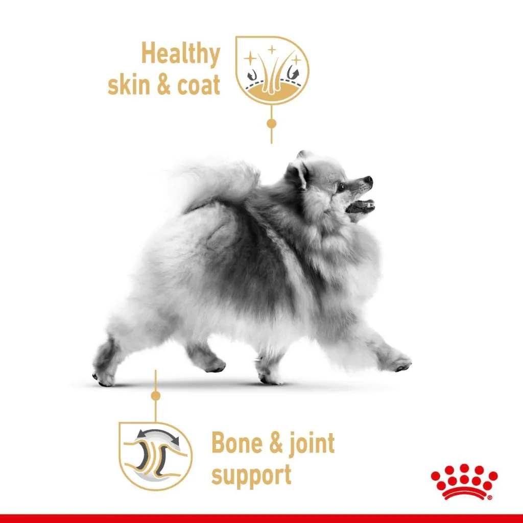 Royal Canin Pomeranian Adult 85g Pouch Wet Dog Food - Breed Health Nutrition
