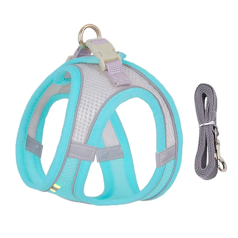 Small Dog Harness and Leash Set - Comfortable & Secure
