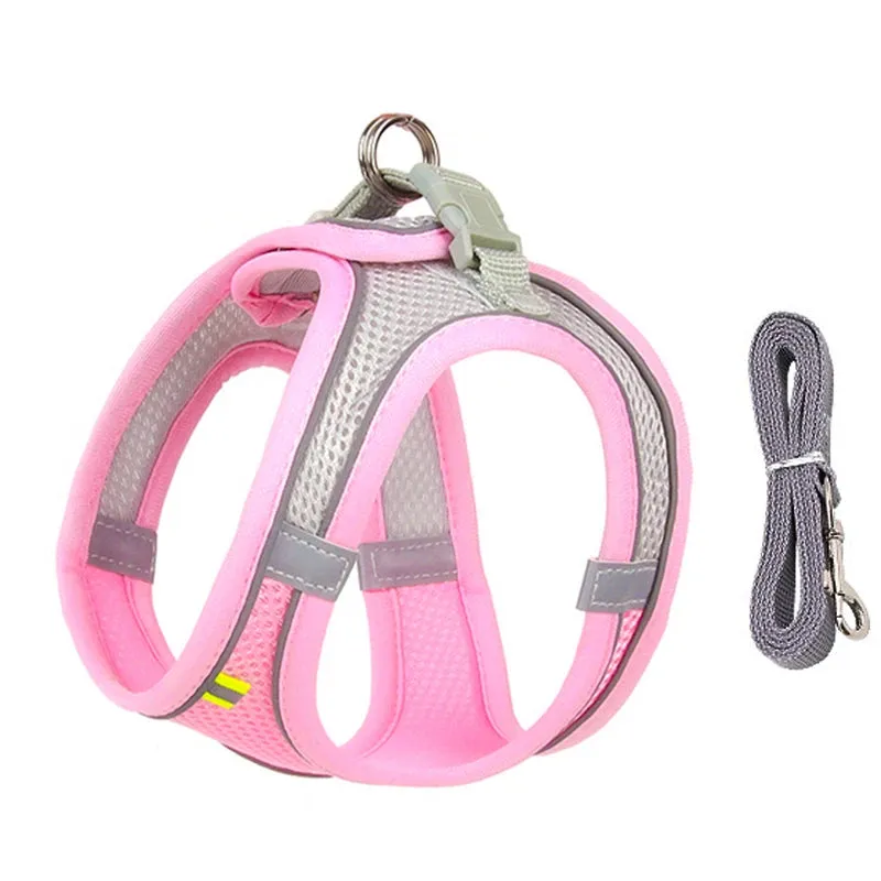 Small Dog Harness and Leash Set - Comfortable & Secure