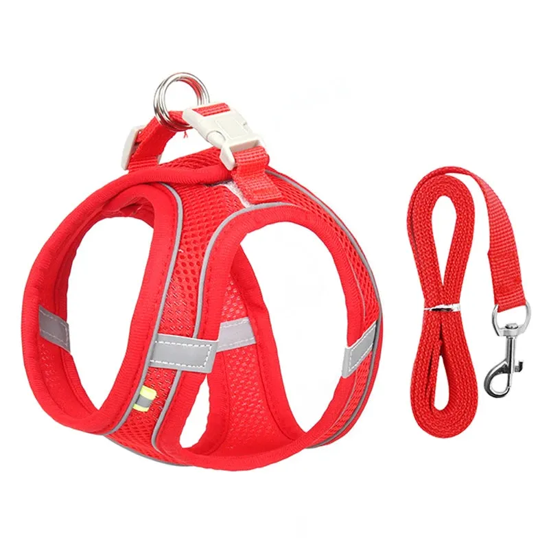 Small Dog Harness and Leash Set - Comfortable & Secure