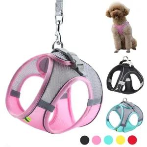 Small Dog Harness and Leash Set - Comfortable & Secure