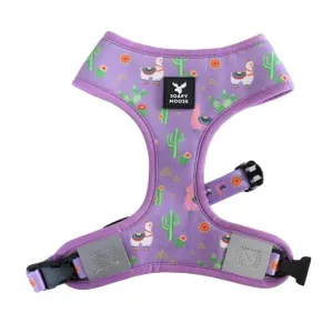 Soapy Moose Lovely Llamas Adjustable Cat Harness Medium***