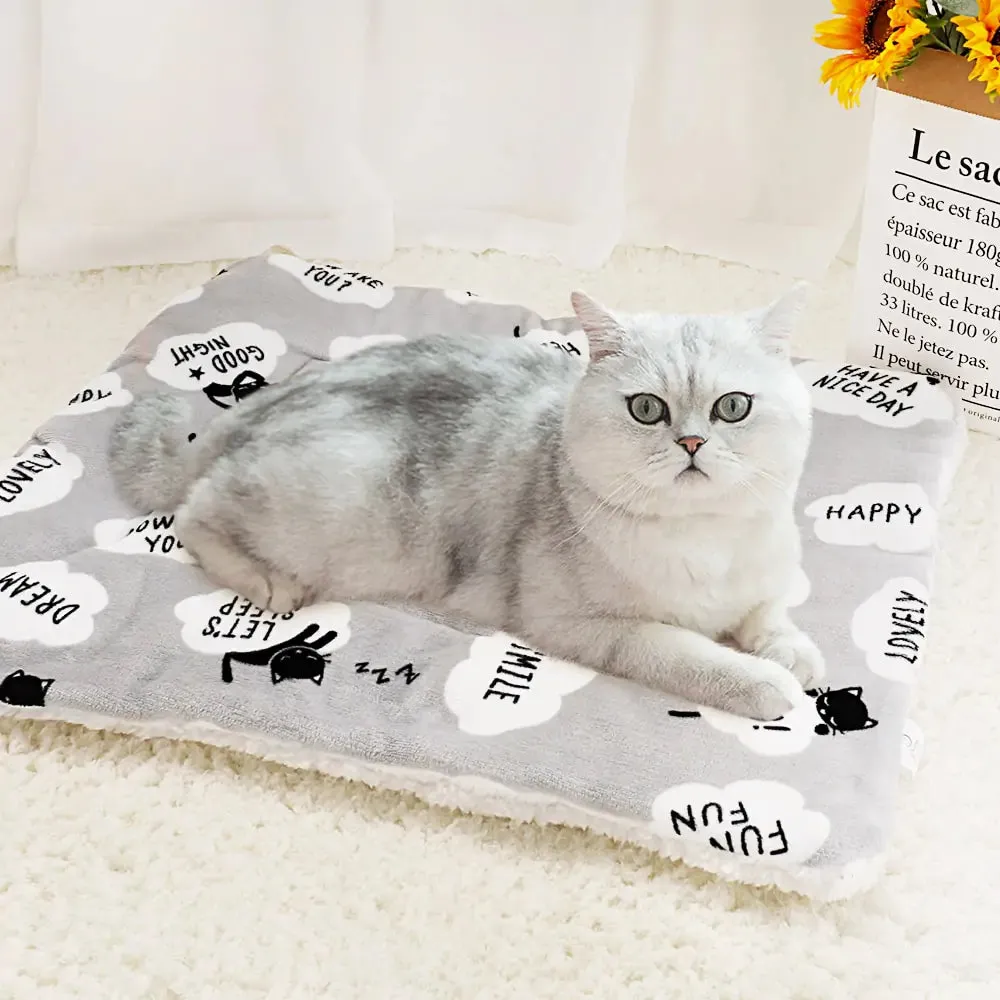 Soft warm Pet Blanket