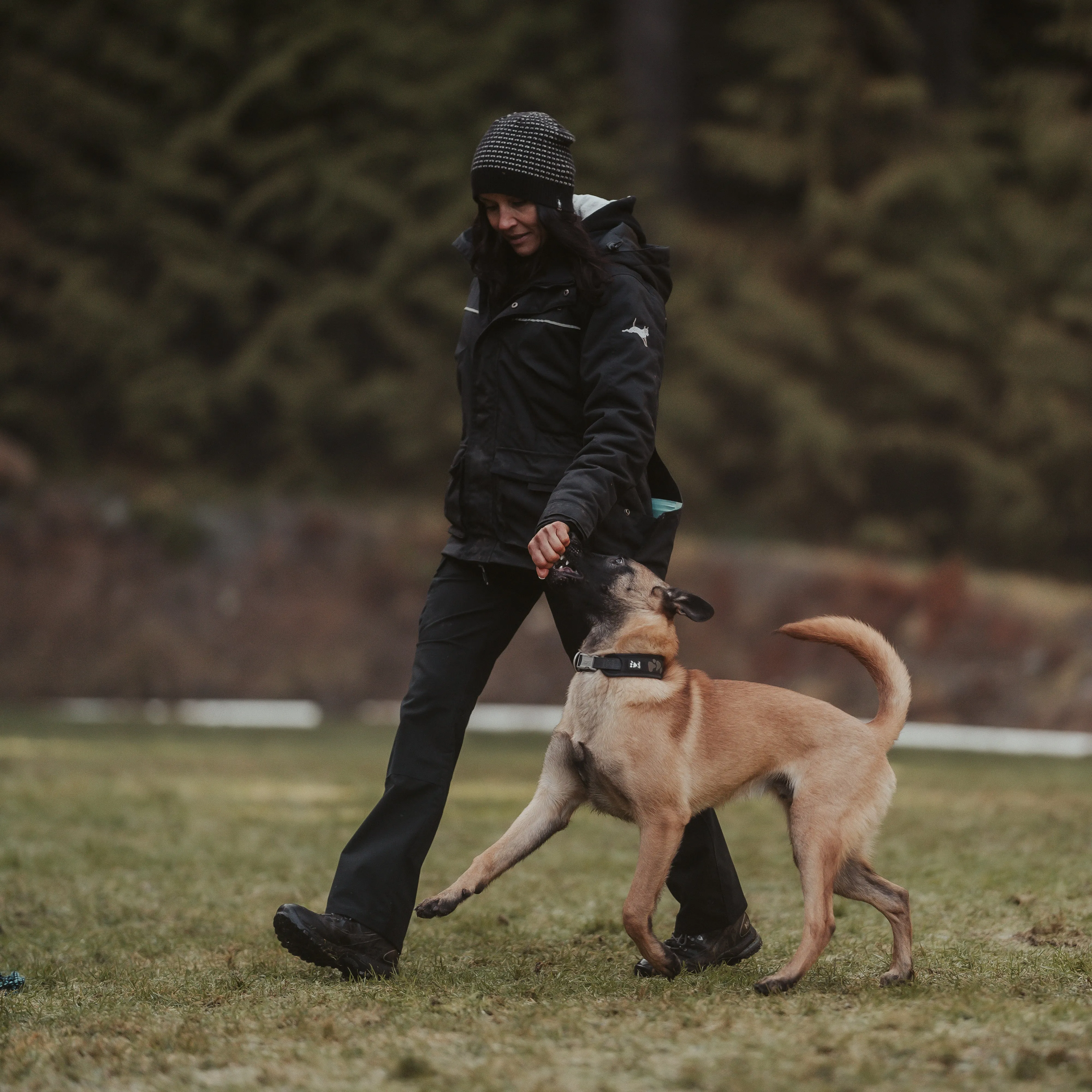 STEP 1 Introduction to Balanced Obedience Training and Relationship Development for dogs and humans